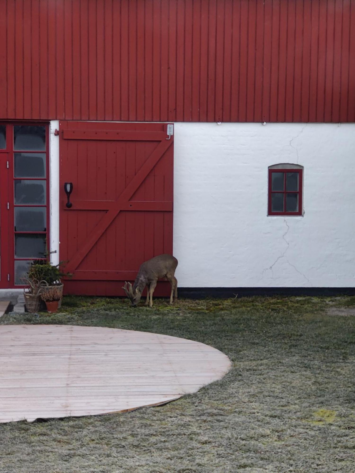 Ferienwohnung Gimleretreat Bøtø By Exterior foto